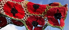 Klaprozenshawl 1