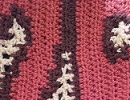 Scripsi shawl