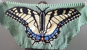 Vlinder